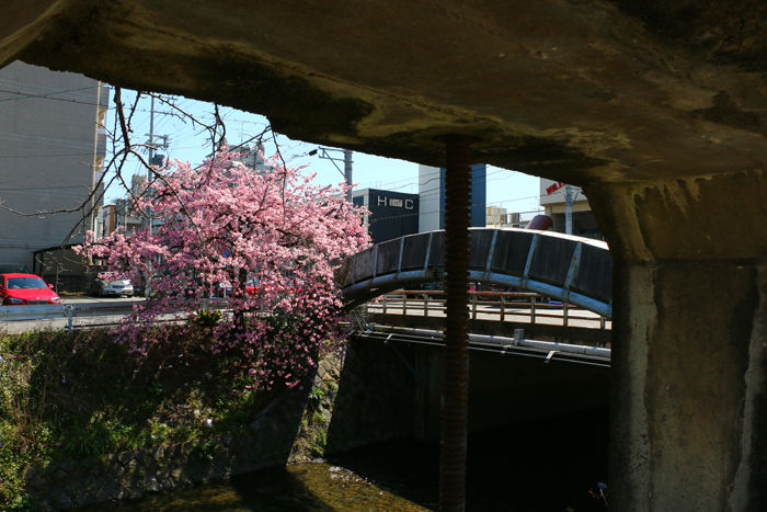 京都・右京区・梅津上田町地区20160322-2
