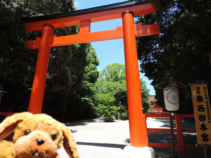 京都・賀茂御祖神社(下鴨神社)20130531-1