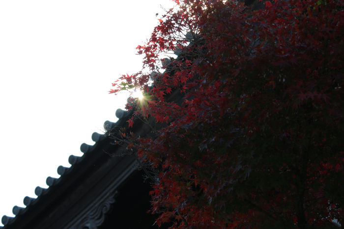 京都・東山区・臨済宗大本山東福寺20131121-1-5