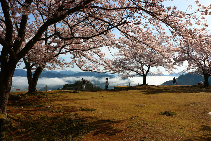 兵庫・朝来市・竹田城跡20160406-8