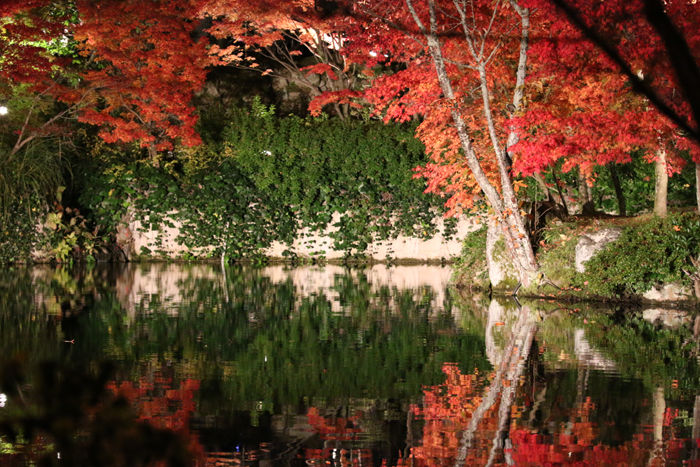 京都・左京区・禅林寺【永観堂】20131123-10