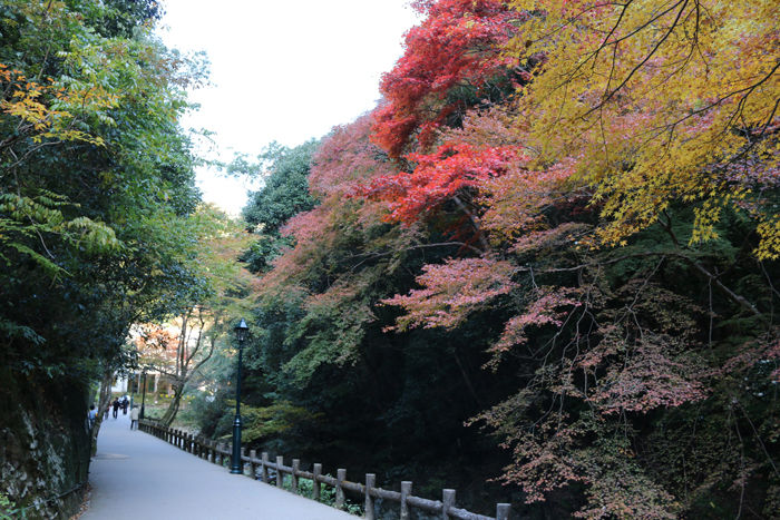 大阪・箕面市・箕面の滝20131120-1-7