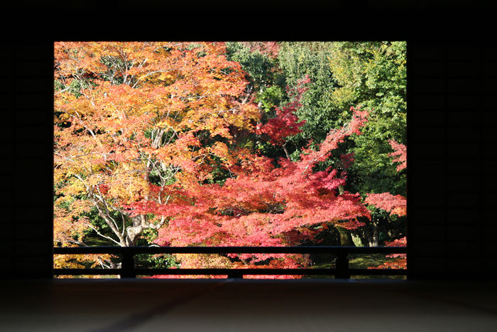 京都・右京区・臨済宗大本山天龍寺20131123-1-1
