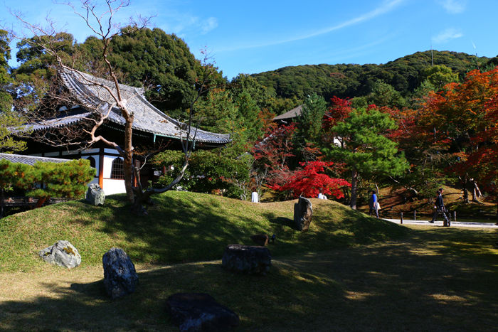 京都・東山区・高台寺20151116-3