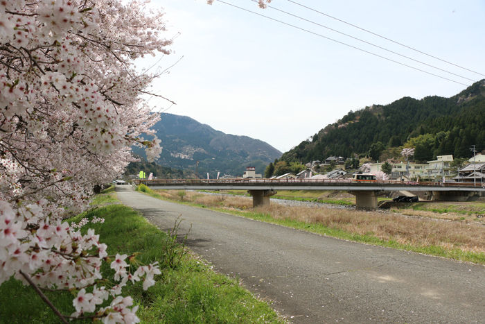 兵庫・朝来市・和田山町加都地区20160406-4