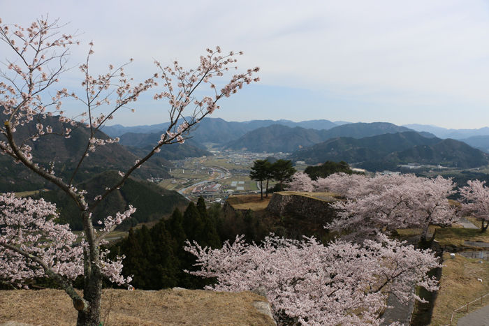 兵庫・朝来市・竹田城跡20160406-23