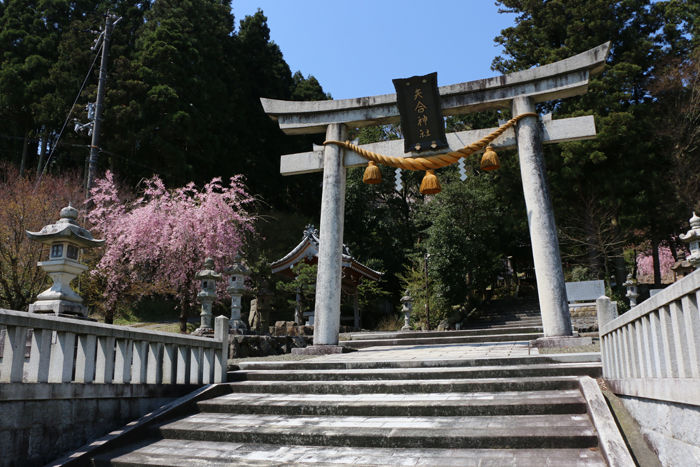 滋賀・長浜市・矢合神社20160412-1