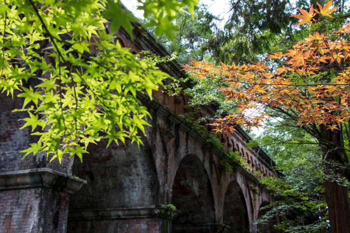 京都・左京区・南禅寺20160925-2