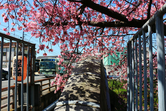 京都・右京区・梅津上田町地区20160322-5