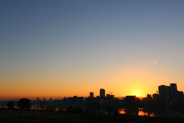 大阪・淀川区・淀川河川公園十三野草地区20160116-10