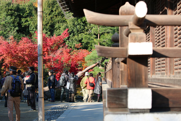 京都・右京区・臨済宗大本山天龍寺20131123-1-7