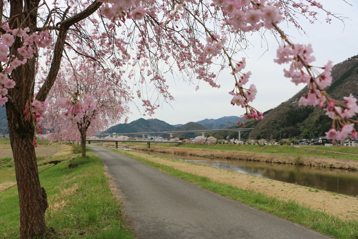 兵庫・朝来市・和田山町枚田地区20160406-3