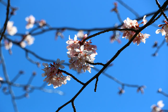 京都・東山区・三吉町地区20160321-3