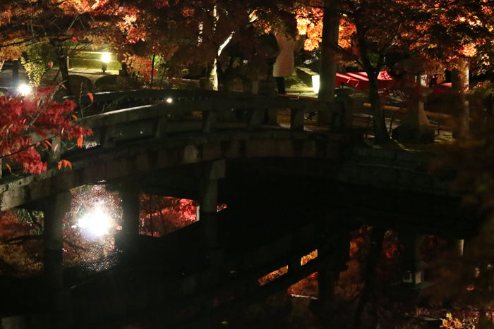 京都・左京区・禅林寺【永観堂】20131123-2