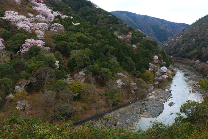 京都・右京区・嵐山公園亀山地区20160402-2
