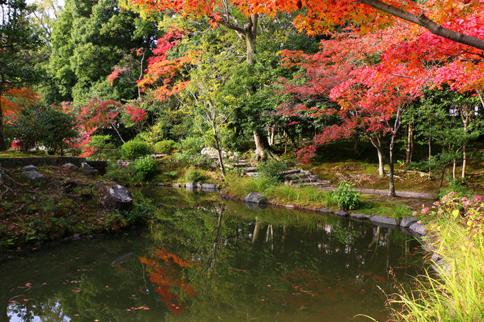 京都・北区・等持院20151121-11