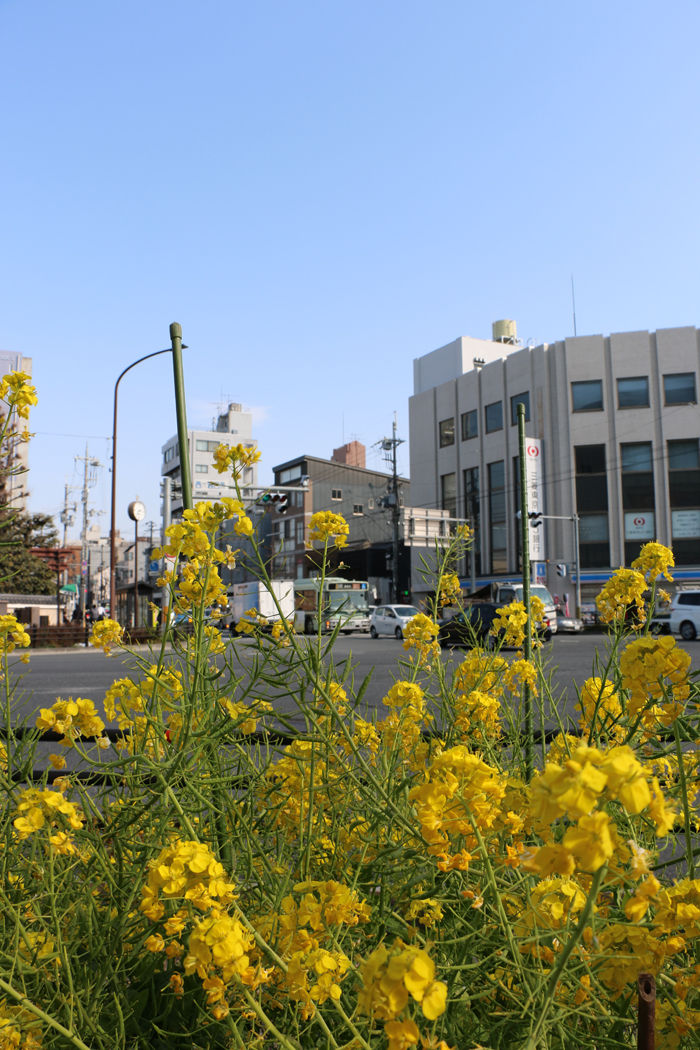 京都・右京区・西大路四条交差点20160304-1