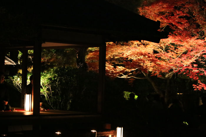 京都・東山区・天台宗青蓮院門跡20131123-1