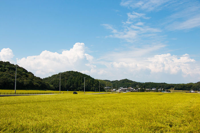 三重・松阪市・大阿坂町地区20160820-1