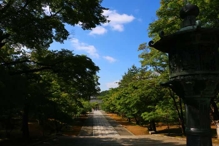 京都・右京区・仁和寺20160512-9