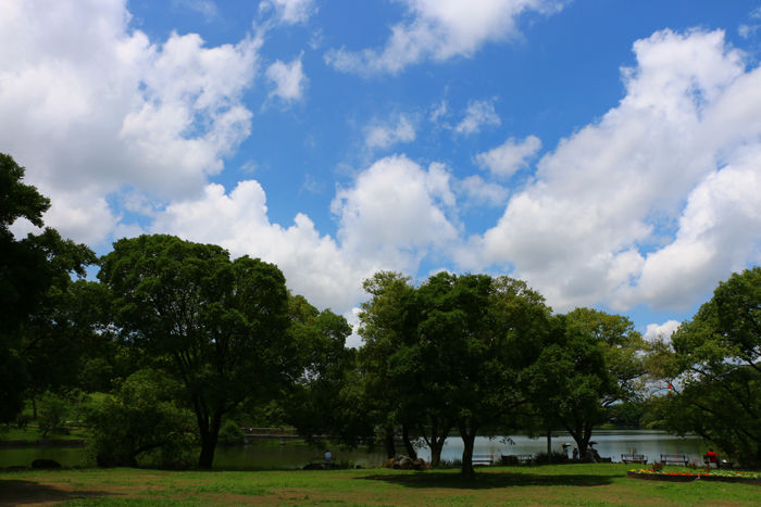 大阪・枚方市・山田池公園20150621-8