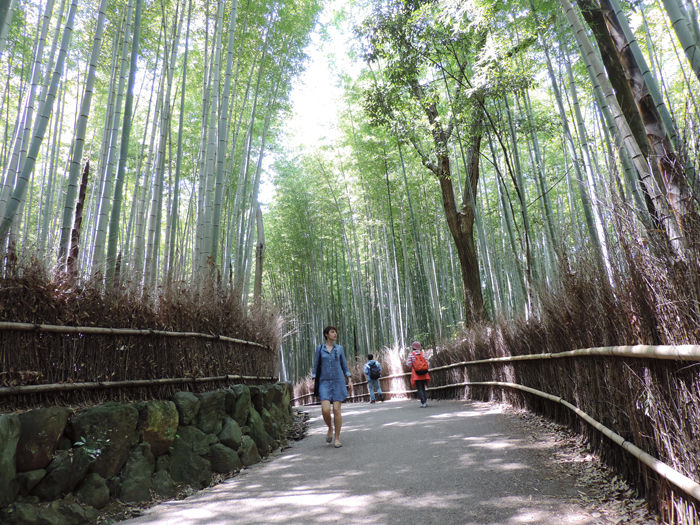 京都嵐山竹林の道6