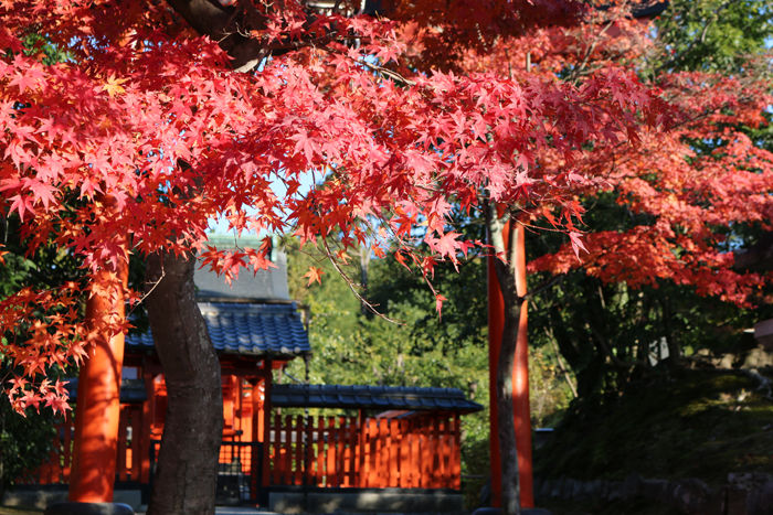 京都・右京区・臨済宗大本山天龍寺20131123-1-3
