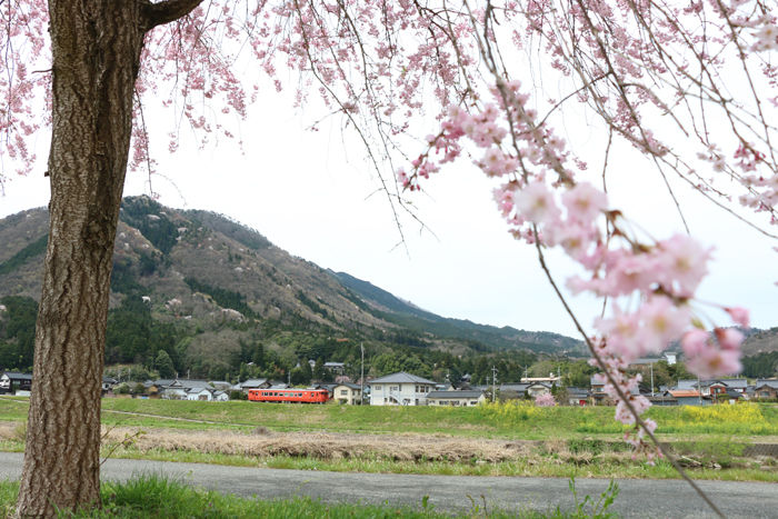 兵庫・朝来市・和田山町枚田地区20160406-8
