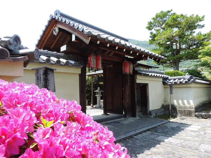 京都世界遺産天龍寺5