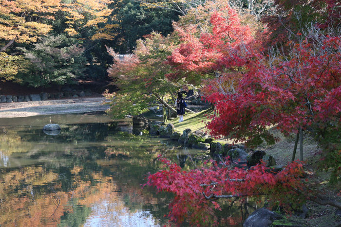 奈良・奈良市・奈良公園20131116-4-7