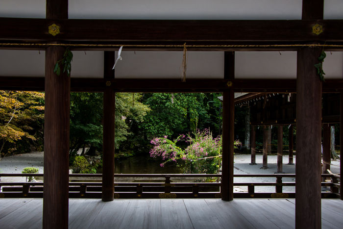 京都・北区・賀茂別雷神社(上賀茂神社)20160927-3