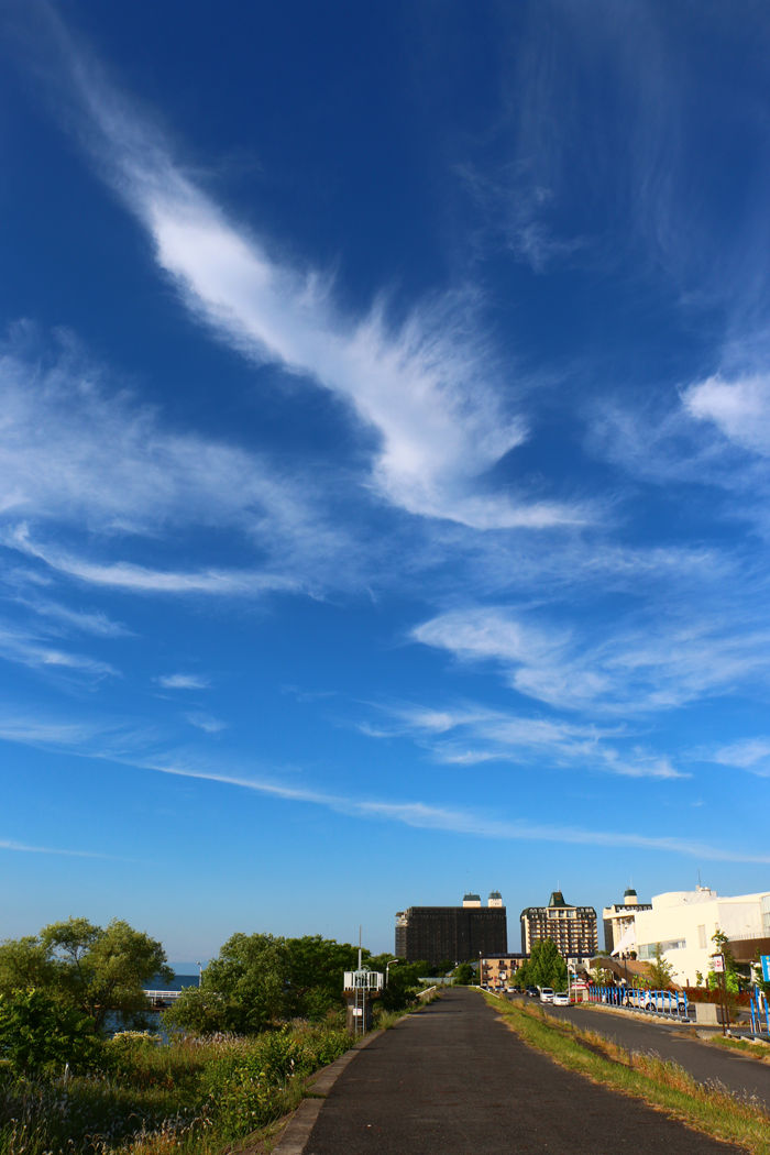 滋賀・守山市・今浜町地区20160603-3