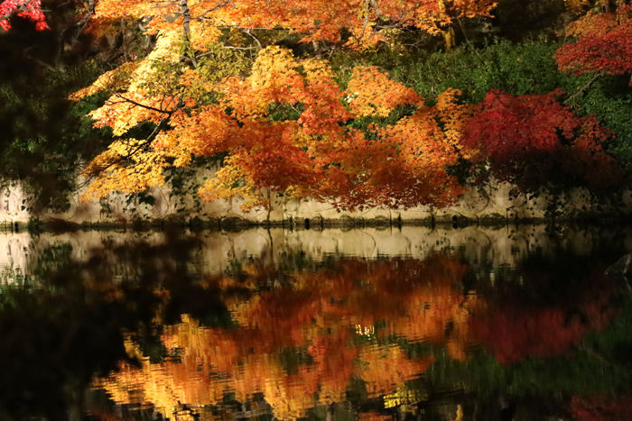 京都・左京区・禅林寺【永観堂】20131123-7