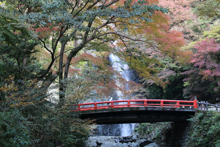 大阪・箕面市・箕面の滝20131120-2-1