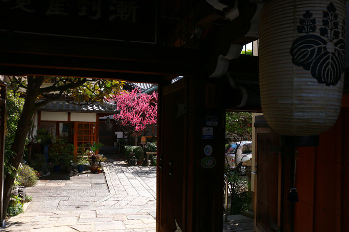 京都・中京区・瑞泉寺20160317-1