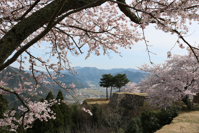 兵庫・朝来市・竹田城跡20160406-20