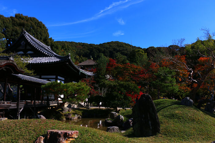 京都・東山区・高台寺20151116-2