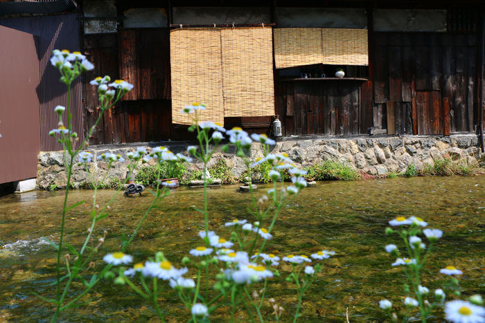 京都・東山区・石泉院町地区20150624-2