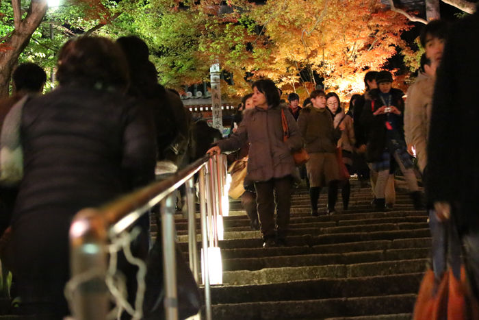 京都・左京区・禅林寺【永観堂】20131123-5