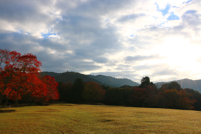 奈良・奈良市・奈良公園20141104-10