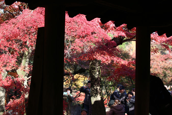 京都・東山区・臨済宗大本山東福寺20131121-1-10
