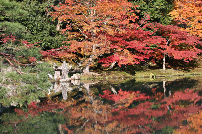 京都・右京区・臨済宗大本山天龍寺20131123-1-8