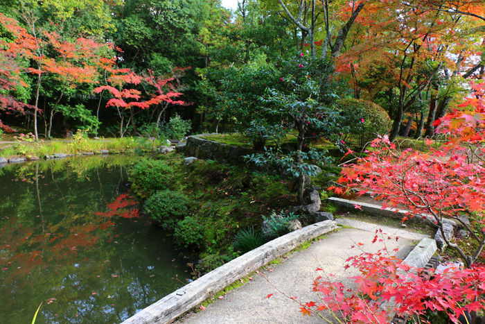 京都・北区・等持院20151121-9