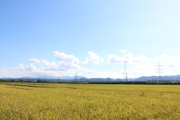 滋賀・高島市・マキノ町中庄地区20160825-1