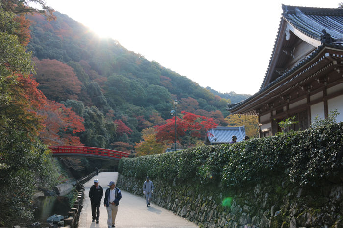 大阪・箕面市・箕面の滝20131120-1-10