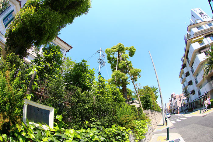 兵庫・中央区・【魚眼風景】北野異人館街20150427-11