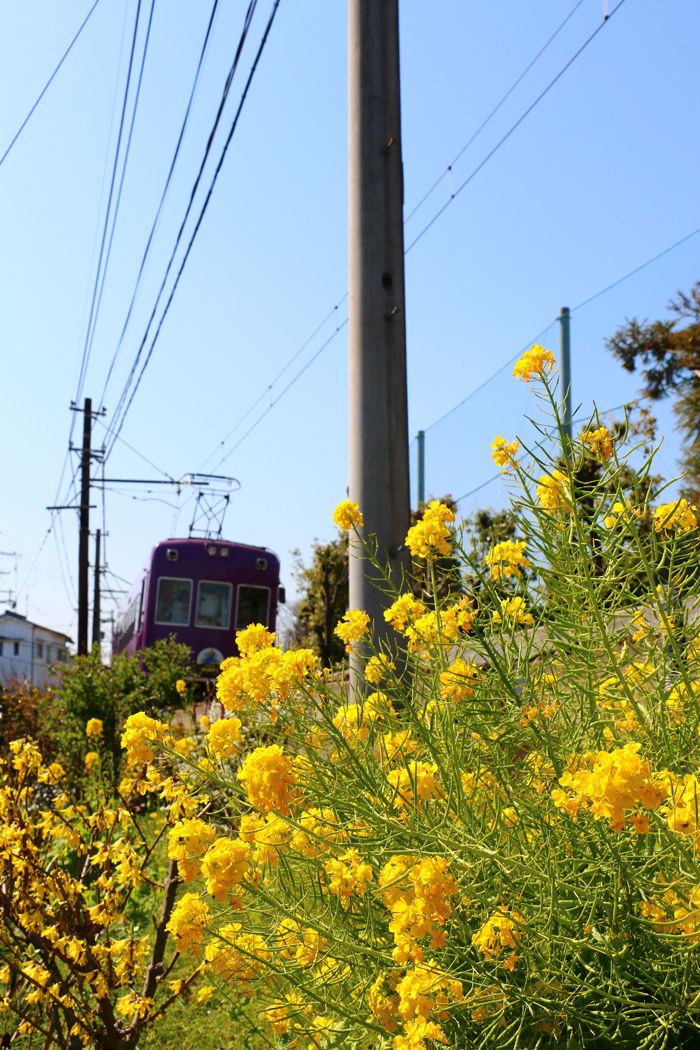 京都・右京区・谷口円成寺町地区20160322-2