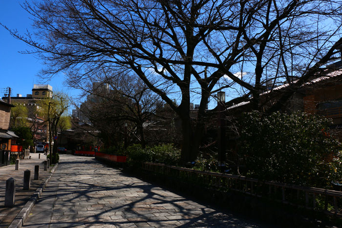 京都・東山区・祇園白川20160321-1