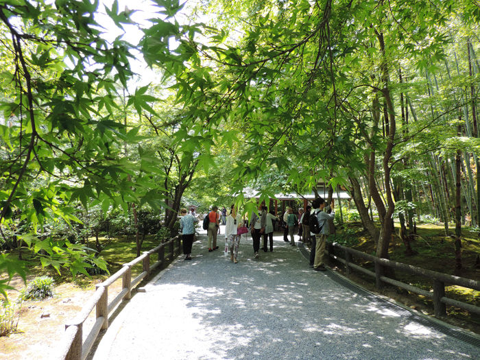 京都世界遺産天龍寺17