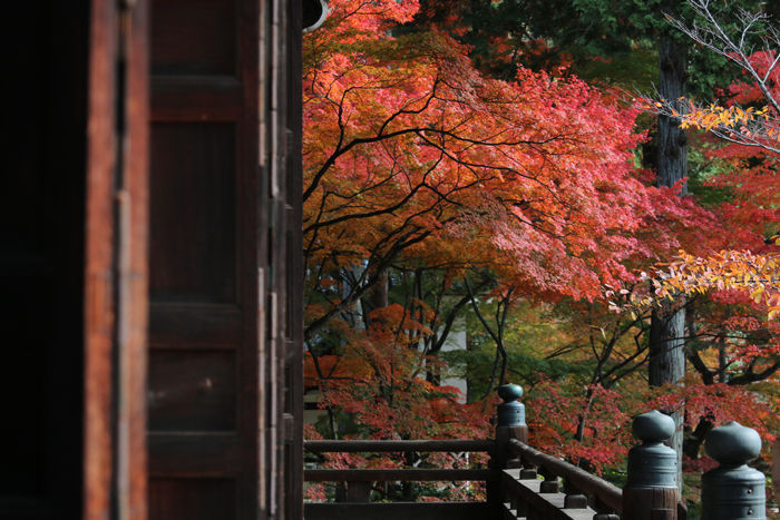 京都・左京区・真正極楽寺【真如堂】20131121-1-5